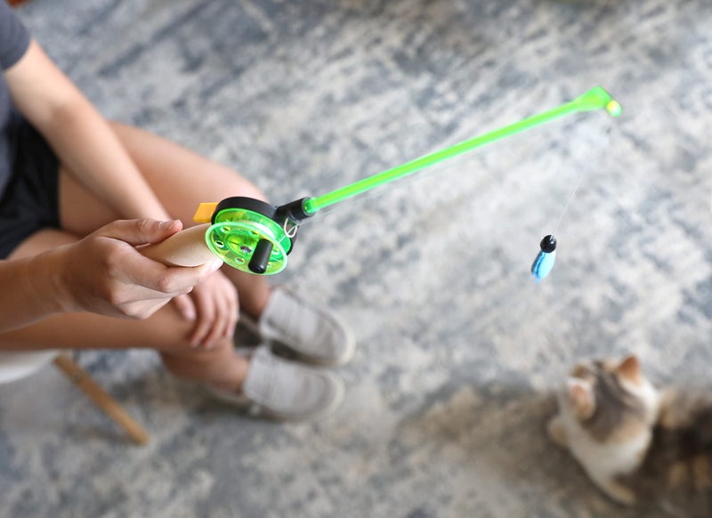 OurPet's Go Fish Cat Fishing Pole Toy with Catnip Fish Teaser and Rod Interactive Cat Wand Toys for Indoor Cats